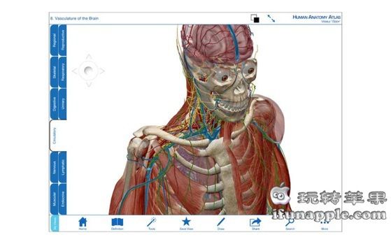 Human Anatomy Atlas for Mac 3.0.1 破解版下载 – Mac上真正且完全三维的参考和学习用人体解剖图谱