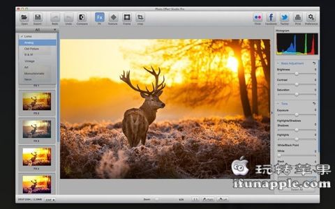 Photo Effect Studio Pro for Mac 4.1.0 破解版下载 – Mac上实用的照片快速添加特效工具