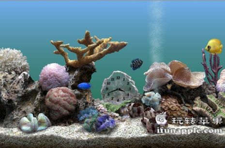 Marine Aquarium for Mac 3.2 破解版下载 – Mac上最漂亮的3D热带鱼水族箱屏保