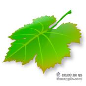 Breeze for Mac 1.5.10 破解版下载 – Mac上优秀的窗口大小和位置快速设置工具